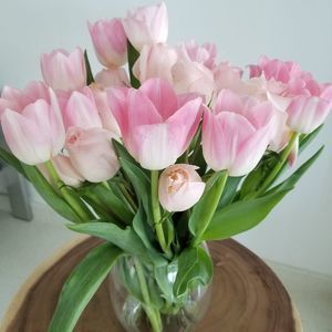 Meet your Posher, Isa